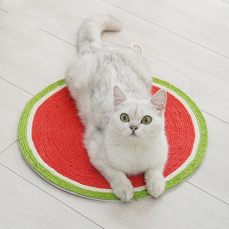 床置きした丸いスイカ型爪とぎマットでくつろぐ猫