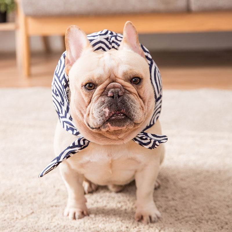 ブルーの唐草模様クッションスヌードを着けた犬