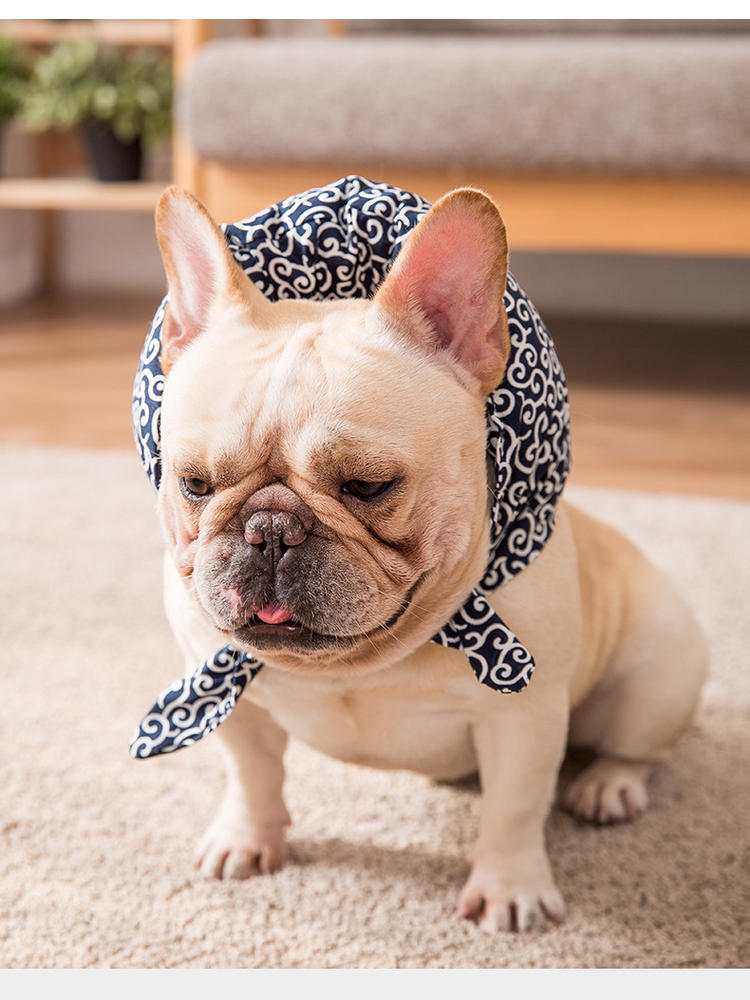 ネイビーの唐草模様クッションスヌードを着けた犬