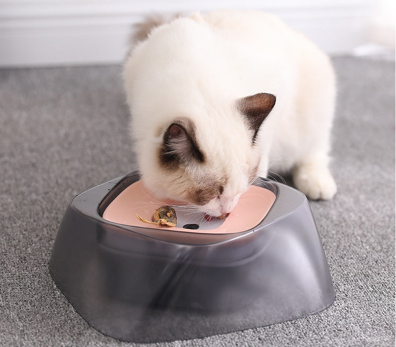 猫がウォーターボウルを使用している様子