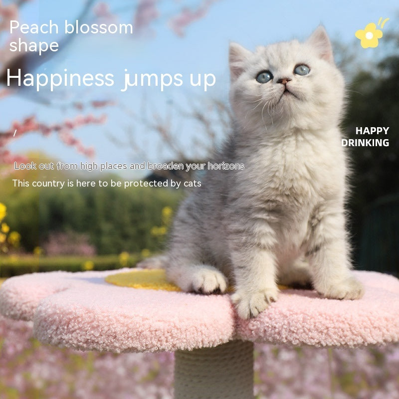 ピンクの花型台に乗る子猫とミニキャットタワー