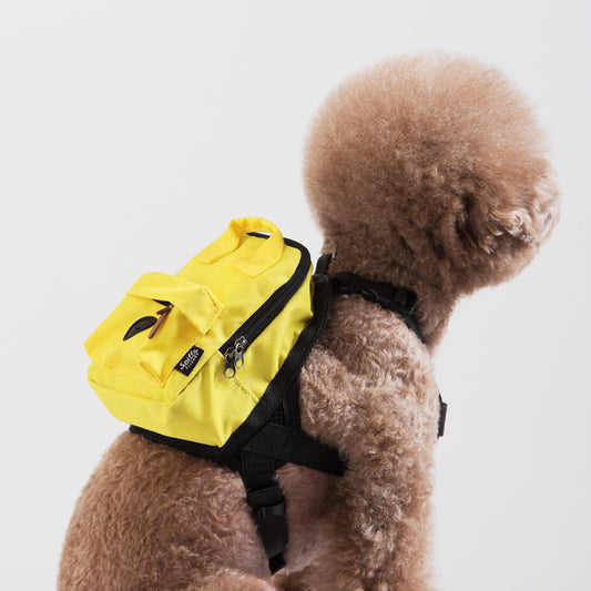 イエローのミニリュックハーネスを背負った小型犬