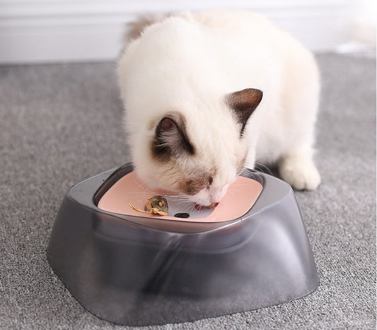 猫がウォーターボウルから水を飲んでいる様子